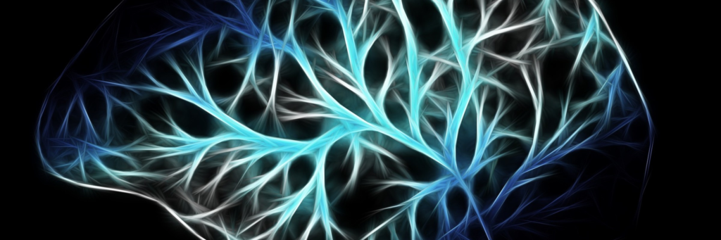 emotional trauma on the brain